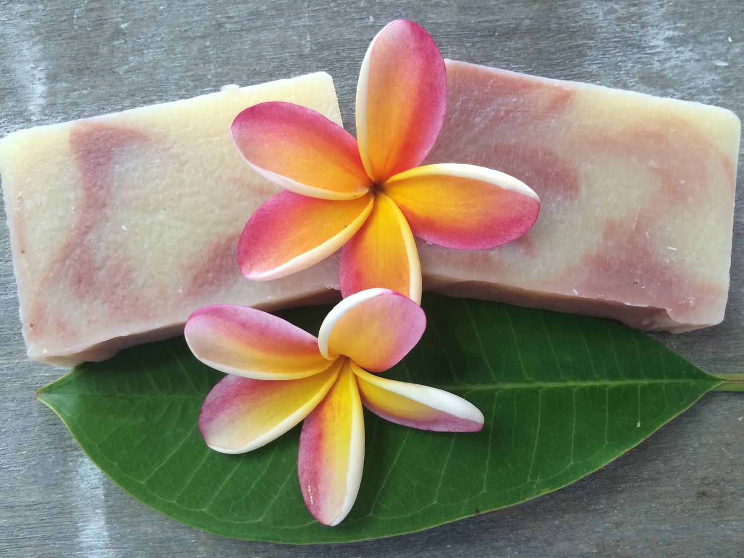 Hawaiian Plumeria Beauty Bar with Pure Plumeria Essence 4oz Hawaiian Plumeria Beauty Bar with Pure Plumeria Essence 4oz