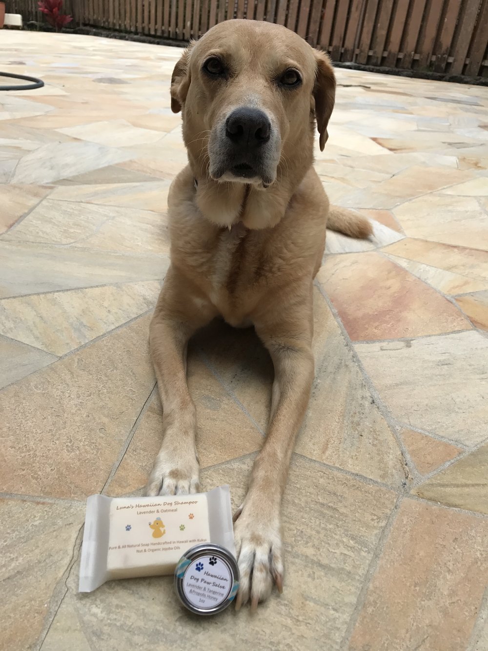 Luna's Hawaiian Dog Shampoo Lavender Chamomile and Oatmeal 2oz & 4oz Luna's Hawaiian Dog Shampoo Lavender Chamomile and Oatmeal 2oz & 4oz